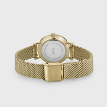 Charger l'image dans la galerie, CLUSE Boho Chic Petite Crystals Mesh Grey, Gold Colour 28 mm - CW10501

